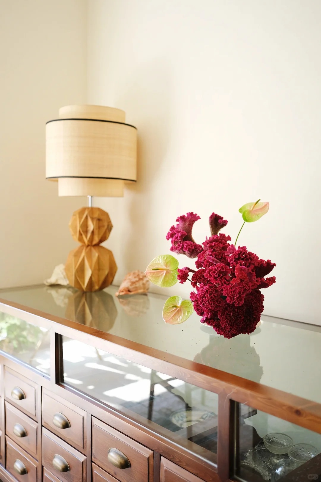 Hoa mào gà: Tưởng quê mùa mà cắm lên lại sang rực rỡ, chơi Tết đẹp mê và hút phú quý vào nhà - Ảnh 12. Hoa mào gà: Tưởng quê mùa mà cắm lên lại sang rực rỡ, chơi Tết đẹp mê và hút phú quý vào nhà - Ảnh 12.