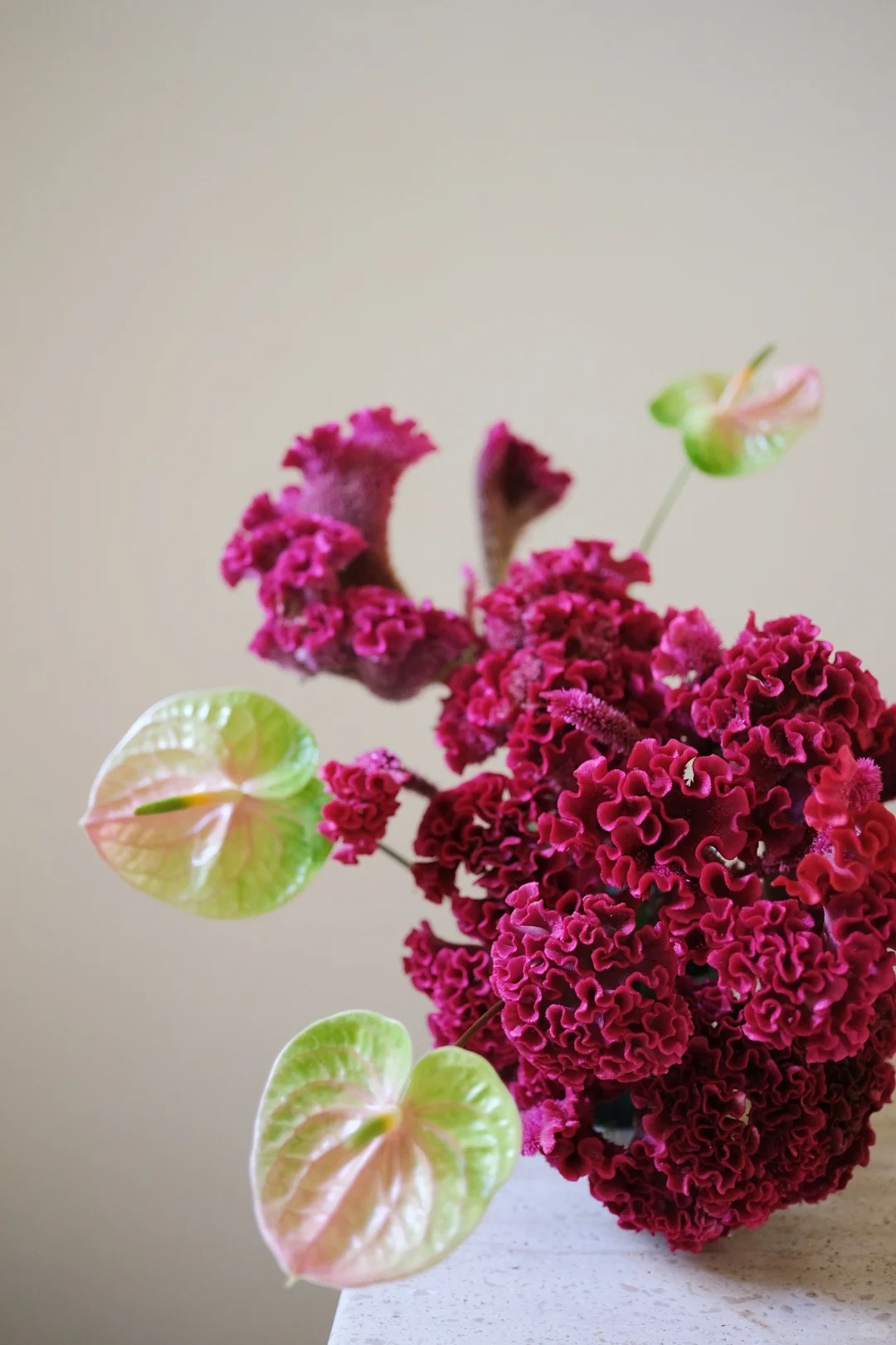 Hoa mào gà: Tưởng quê mùa mà cắm lên lại sang rực rỡ, chơi Tết đẹp mê và hút phú quý vào nhà - Ảnh 11. Hoa mào gà: Tưởng quê mùa mà cắm lên lại sang rực rỡ, chơi Tết đẹp mê và hút phú quý vào nhà - Ảnh 11.