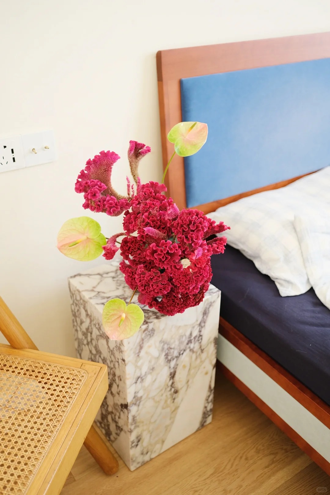 Hoa mào gà: Tưởng quê mùa mà cắm lên lại sang rực rỡ, chơi Tết đẹp mê và hút phú quý vào nhà - Ảnh 10. Hoa mào gà: Tưởng quê mùa mà cắm lên lại sang rực rỡ, chơi Tết đẹp mê và hút phú quý vào nhà - Ảnh 10.