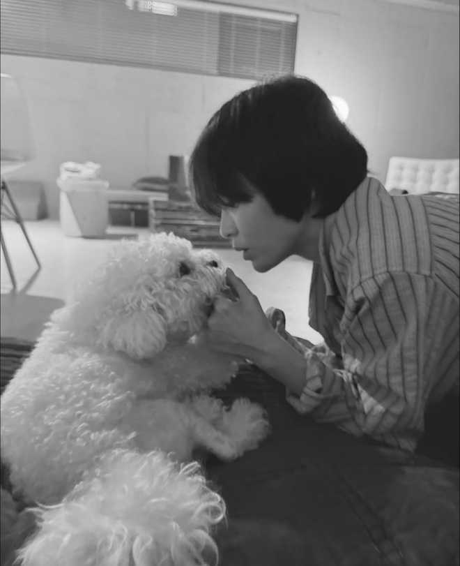 Hoá ra Song Hye Kyo làm tomboy đẹp thế này- Ảnh 11. Hoá ra Song Hye Kyo làm tomboy đẹp thế này- Ảnh 11.