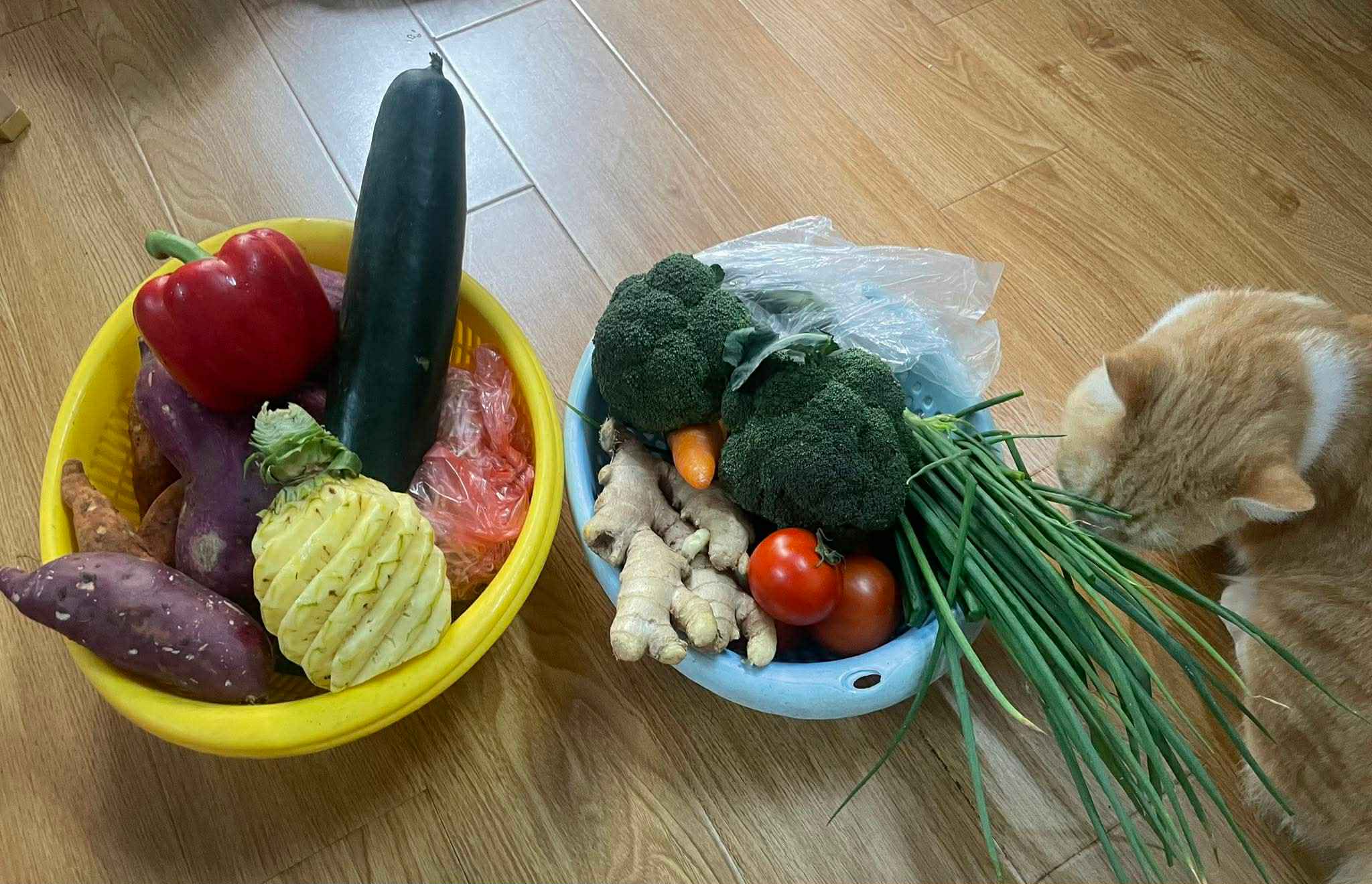 Đi chợ mà choáng: “Tiền rau giờ còn đắt hơn thịt” – cú sốc khiến tôi phải xem lại cả bảng chi tiêu - Ảnh 4.