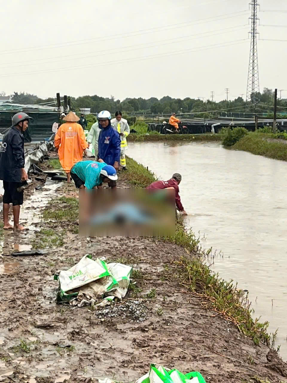 Hai người làm thuê bị sét đánh chết tại ao tôm - Ảnh 1. Hai người làm thuê bị sét đánh chết tại ao tôm - Ảnh 1.