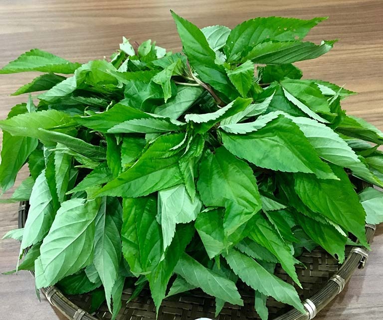 Ra chợ thấy 4 loại rau n&agrave;y, mạnh dạn nhắm mắt MUA LU&Ocirc;N- Ảnh 4.