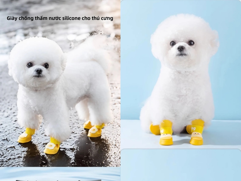 Đồ xịn cho boss, giá hời cho sen: Khám phá thế giới pet care nội địa Trung mùa 11.11! - Ảnh 1. Đồ xịn cho boss, giá hời cho sen: Khám phá thế giới pet care nội địa Trung mùa 11.11! - Ảnh 1.