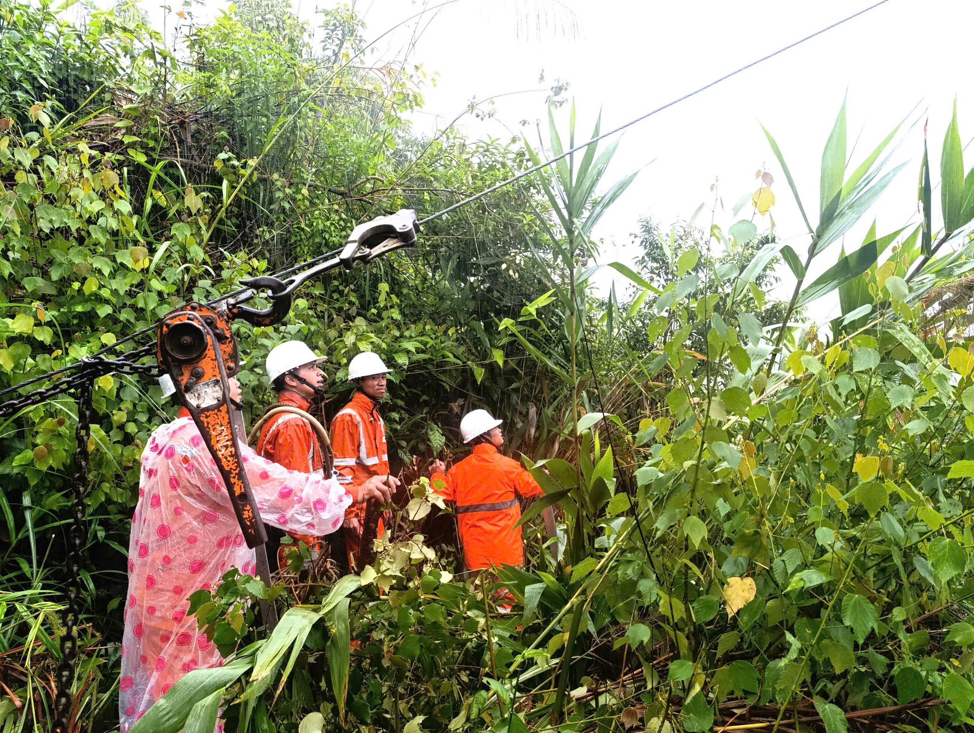 Thượng nguồn Đà Nẵng mưa lớn, nguy cơ lũ chồng lụt - Ảnh 9. Thượng nguồn Đà Nẵng mưa lớn, nguy cơ lũ chồng lụt - Ảnh 9.
