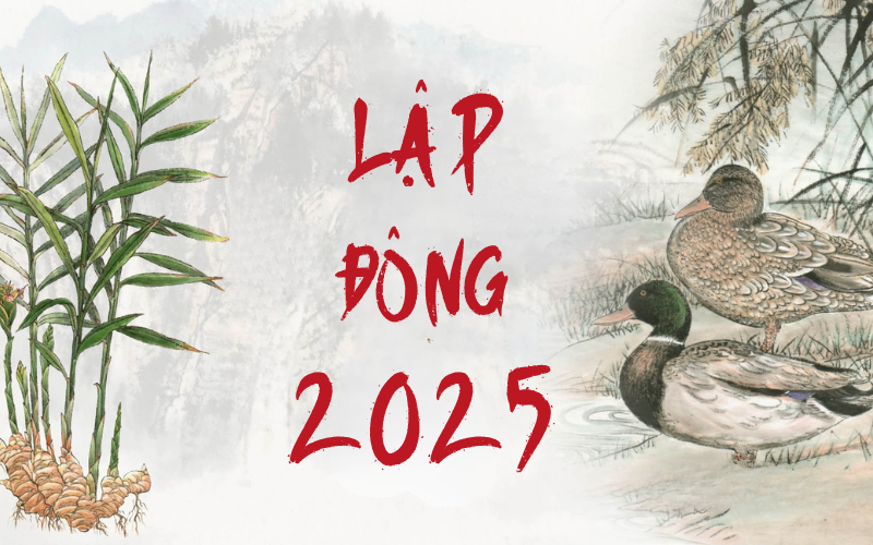 lap-dong-2025-1762075420087529498796-1762082393049-1762082393170609786046.png