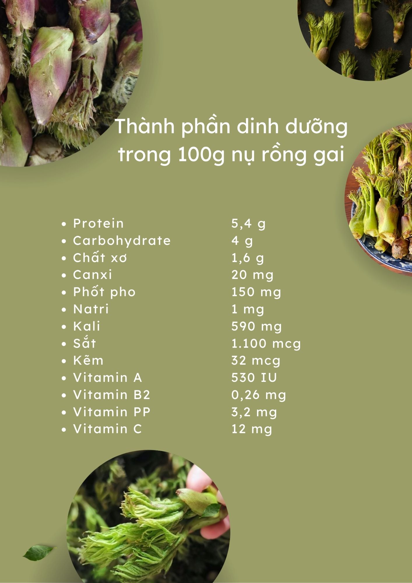 thanh-phan-dinh-duong-trong-100g-nu-rong-gai-1-1762088230546-17620882307941963505033.jpg