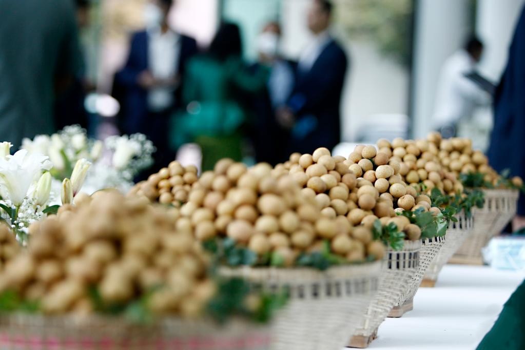 Đặc sản triệu đô của Việt Nam được Trung Quốc siêu mê, mệnh danh là 'vương giả chi quả', diện tích trồng hơn 68.000 ha - Ảnh 1.