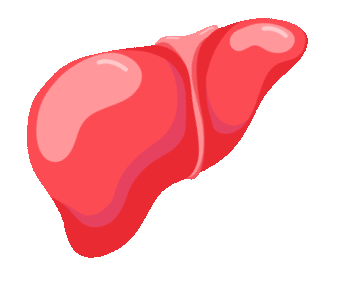 2 vợ chồng ngoài 50 tuổi cùng lúc phát hiện ung thư gan, bác sĩ cảnh báo: Bỏ ngay 3 loại thực phẩm này đi, để trong tủ lạnh cũng không được!- Ảnh 3.