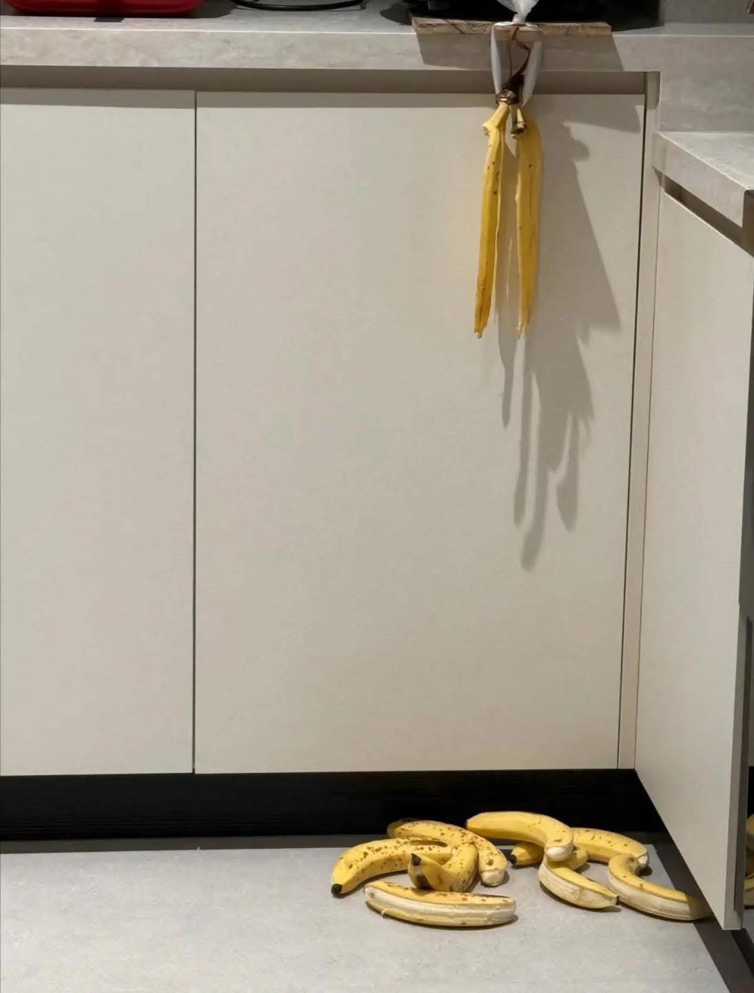 Nửa đêm thấy chồng lục đục trong bếp: Sáng dậy người vợ ''dở khóc dở cười'' trước cảnh này- Ảnh 1.