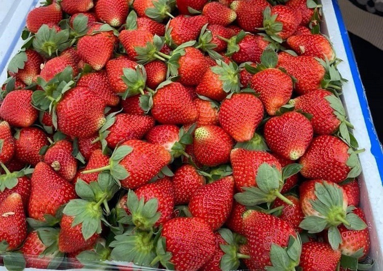 Cảnh báo 4 loại trái cây dễ bị phun thuốc trừ sâu, đi chợ bạn đừng mua vội vàng- Ảnh 3.