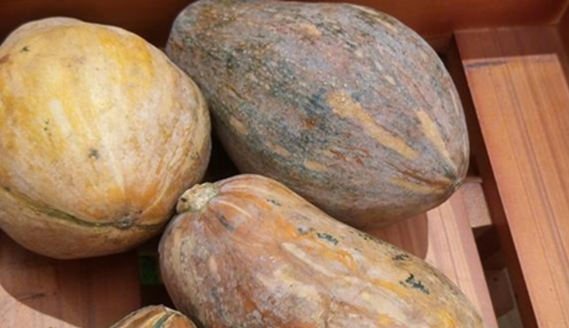 5 loại rau ăn nhiều 