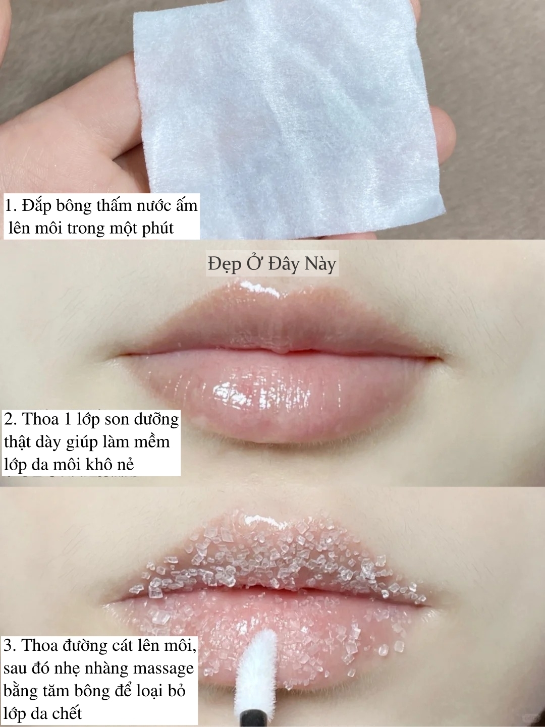 Chuyên viên thẩm mỹ viện 10 năm mách mẹo trị môi khô tại nhà, rẻ mà hiệu quả bất ngờ - Ảnh 3.