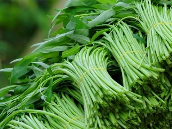 Mua rau, cứ học thuộc mẹo này là biết rau trồng tự nhiên hay rau phun thuốc kích thích- Ảnh 2.