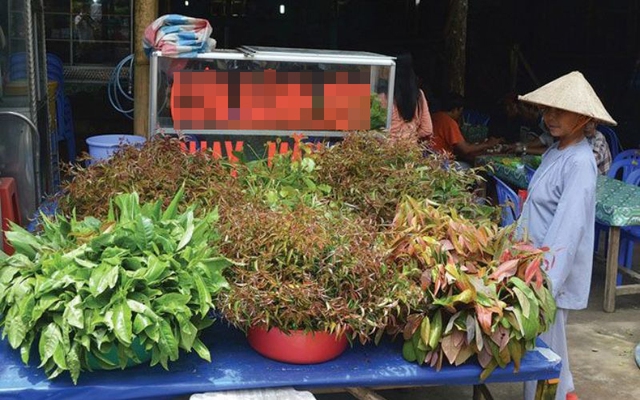 Loại lá có tên rất lạ xưa rụng đầy không ai ăn, nay thành đặc sản bởi hương vị độc lạ - Ảnh 4.