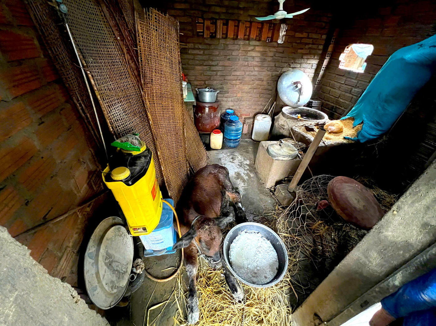 Người dân làng nghề bánh tráng khóc thương sau trận lũ lịch sử ở Đắk Lắk - Ảnh 13.