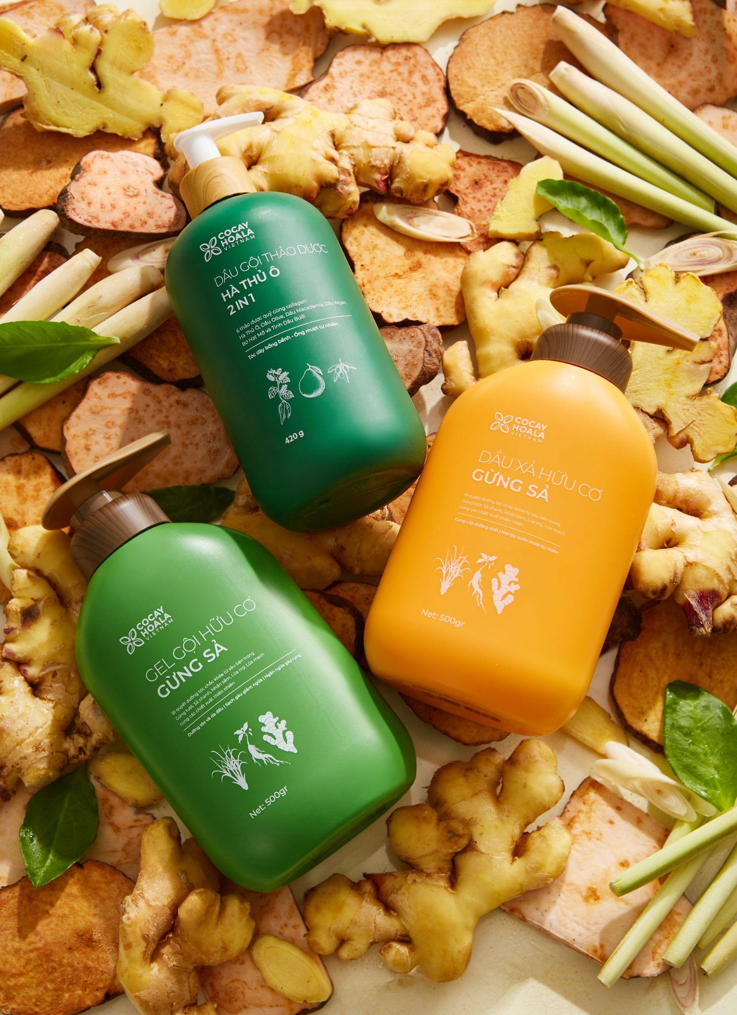 Phụ nữ Trung Quốc gội đầu với thứ củ rẻ tiền này để giảm rụng tóc thần kỳ - Ảnh 6.