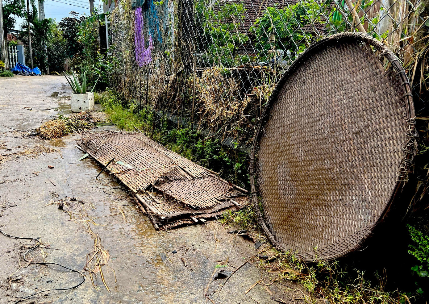 Người dân làng nghề bánh tráng khóc thương sau trận lũ lịch sử ở Đắk Lắk - Ảnh 14.