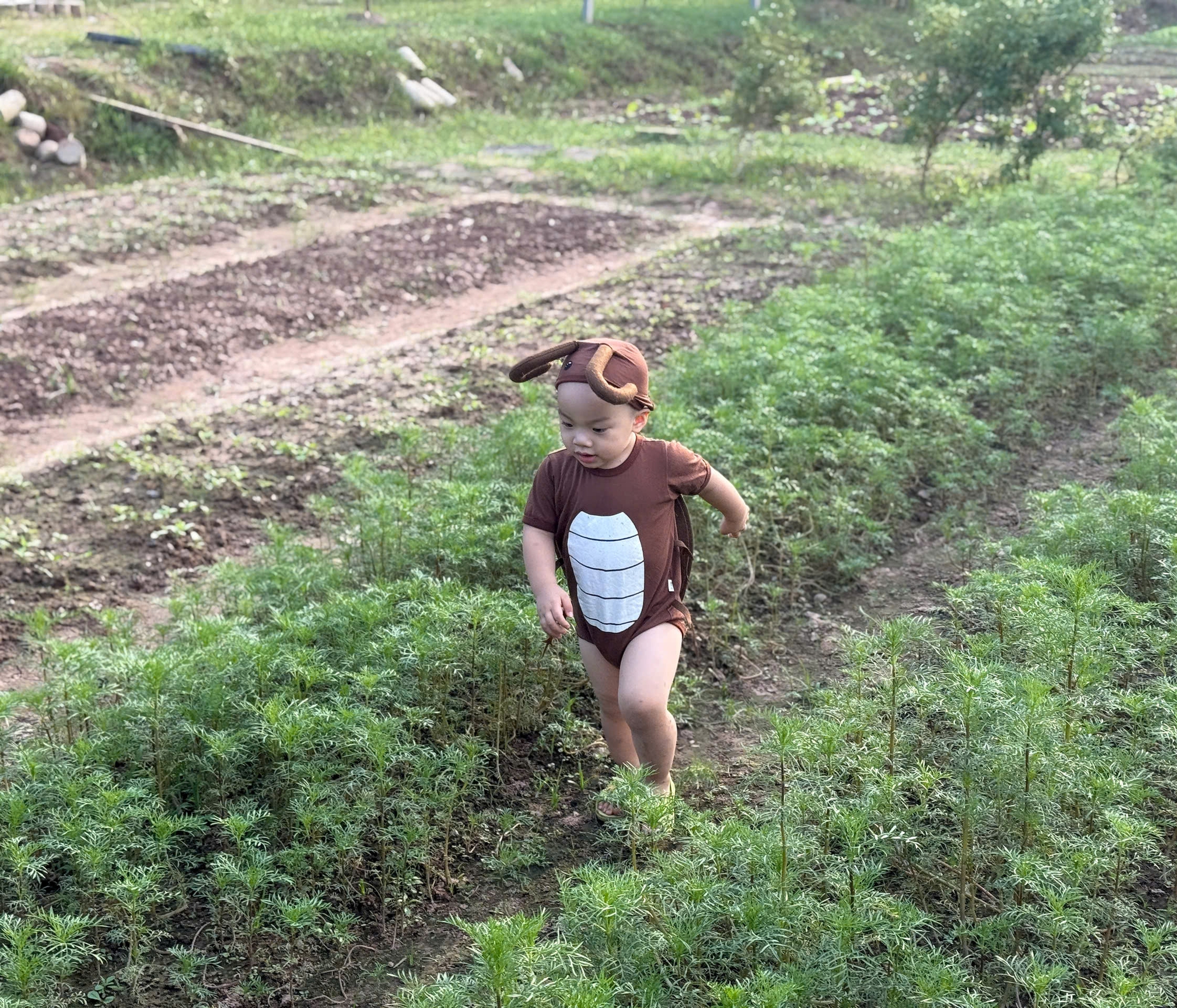 Những mẹo nhỏ và dễ thực hiện nhưng lại giúp trẻ tăng cân - cao lớn cực hiệu quả- Ảnh 4.