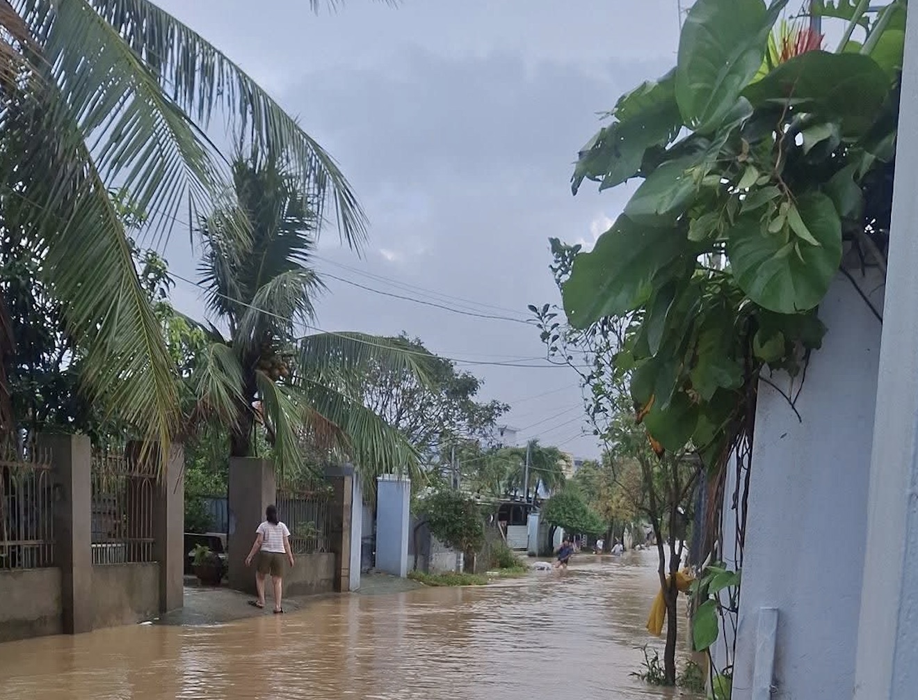 Mưa lớn trong đêm, nhiều khu vực phía Đông Gia Lai ngập trở lại - Ảnh 1.