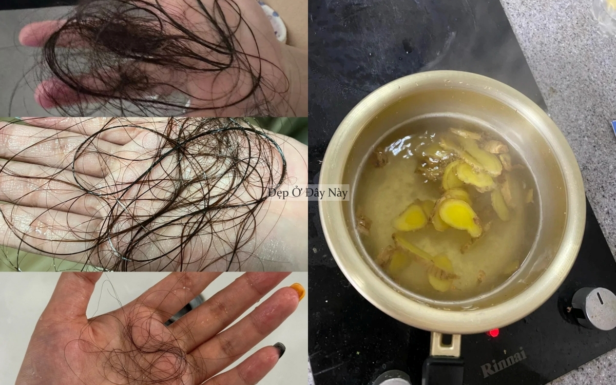 Phụ nữ Trung Quốc gội đầu với thứ củ rẻ tiền này để giảm rụng tóc thần kỳ - Ảnh 4.