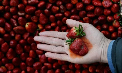 Loại quả “ngậm thuốc trừ sâu” nhiều nhất, có cho cũng đừng ăn - Ảnh 2.