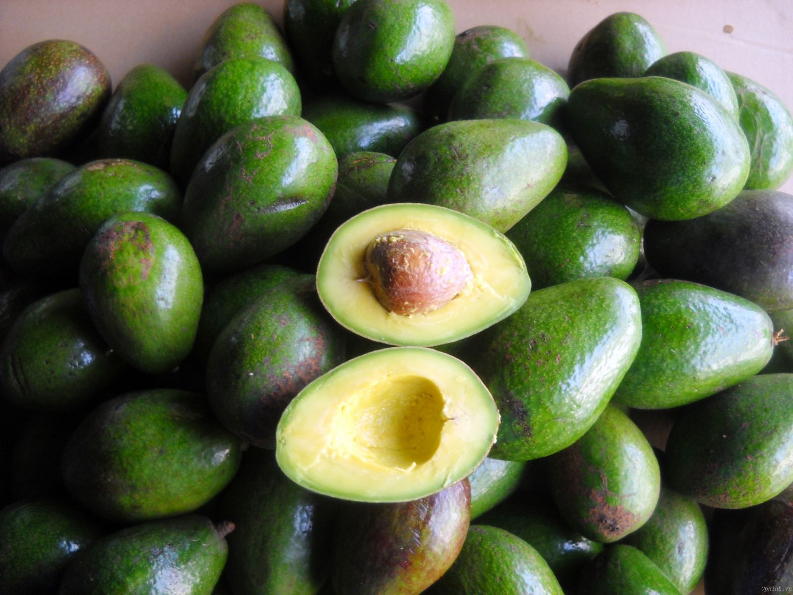 Trương Bá Chi U50 da vẫn căng mọng collagen: Ngày nào cũng ăn loại quả 