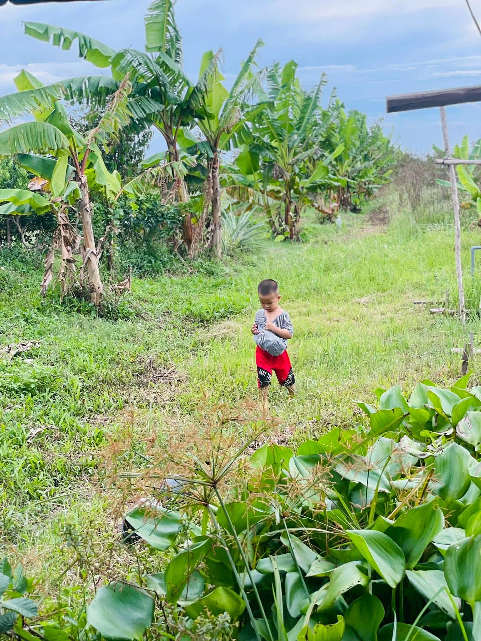 Từng sống trong căn phòng trọ chật chội ở thành phố, vợ chồng trẻ quyết định về quê để con có tuổi thơ trọn vẹn- Ảnh 6.