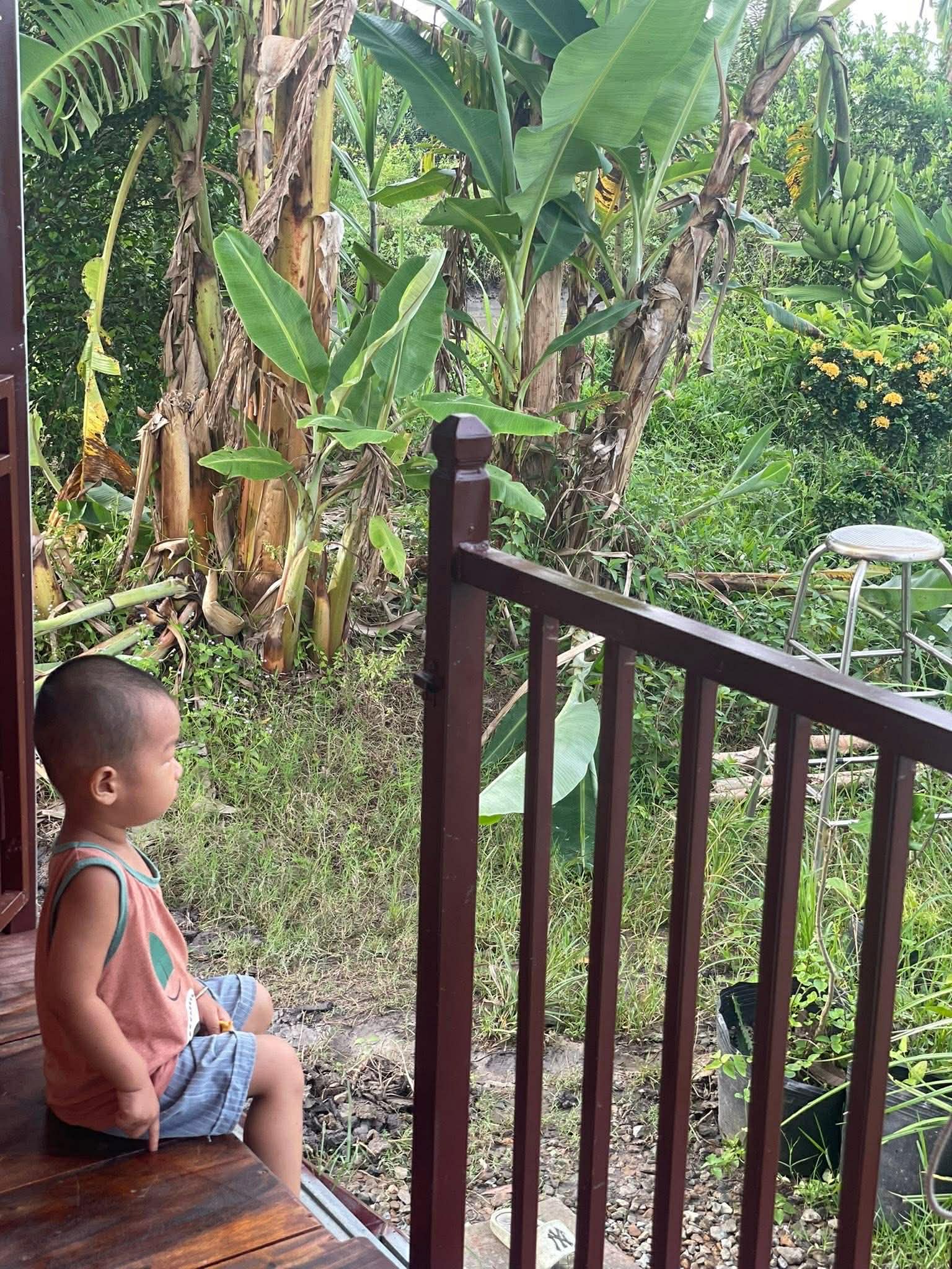 Từng sống trong căn phòng trọ chật chội ở thành phố, vợ chồng trẻ quyết định về quê để con có tuổi thơ trọn vẹn- Ảnh 5.