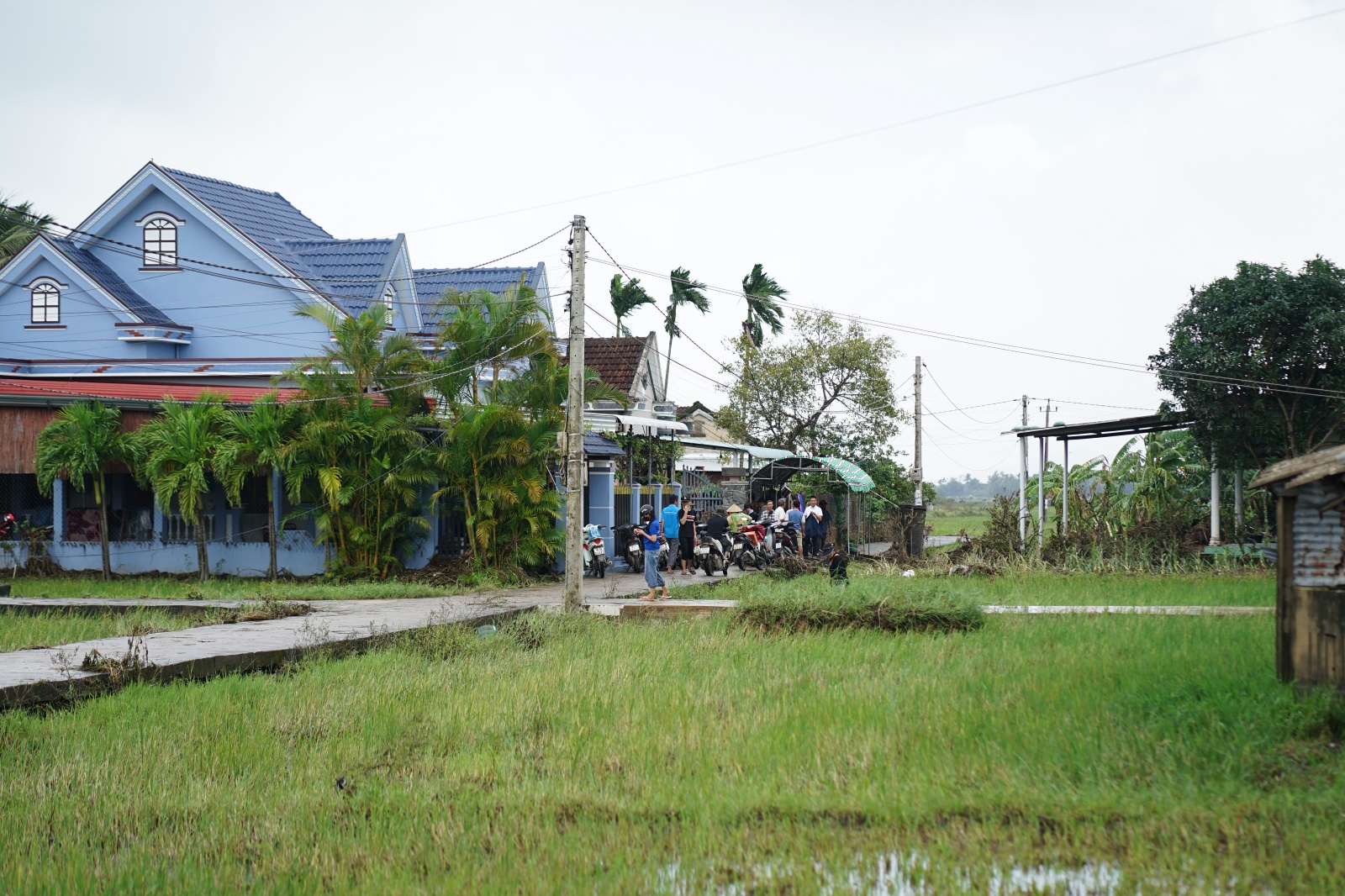 Tang thuơng cảnh 3 anh em mồ côi vì tin đồn vỡ đập: 