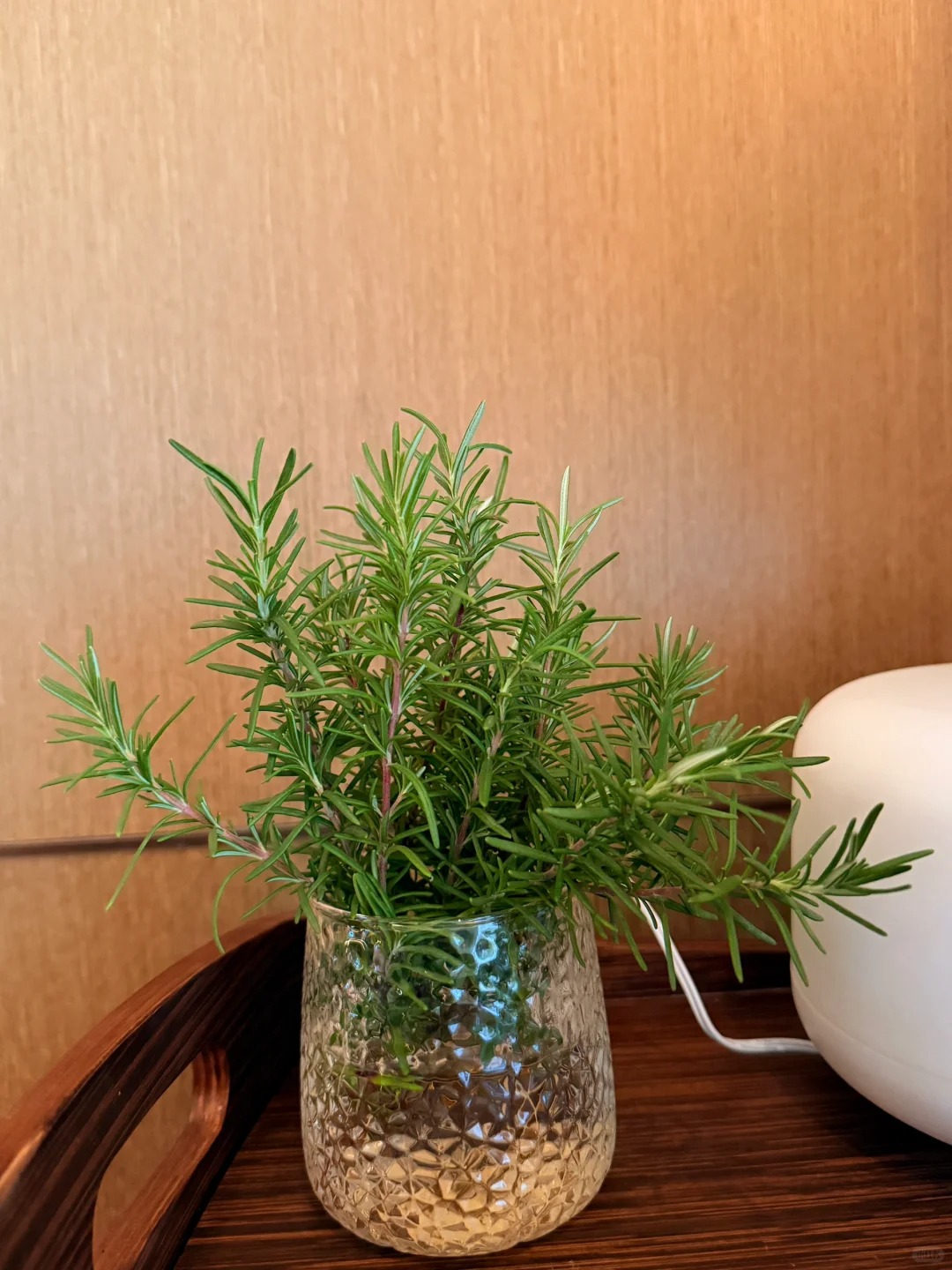 Chán cảnh hương thảo héo queo sau vài ngày, tôi thử trồng thủy canh và cái kết bất ngờ- Ảnh 3.