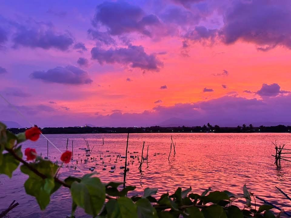 Bầu trời tím lịm tìm sim rực rỡ ở Khánh Hòa khiến mạng xã hội dậy sóng - Ảnh 1.