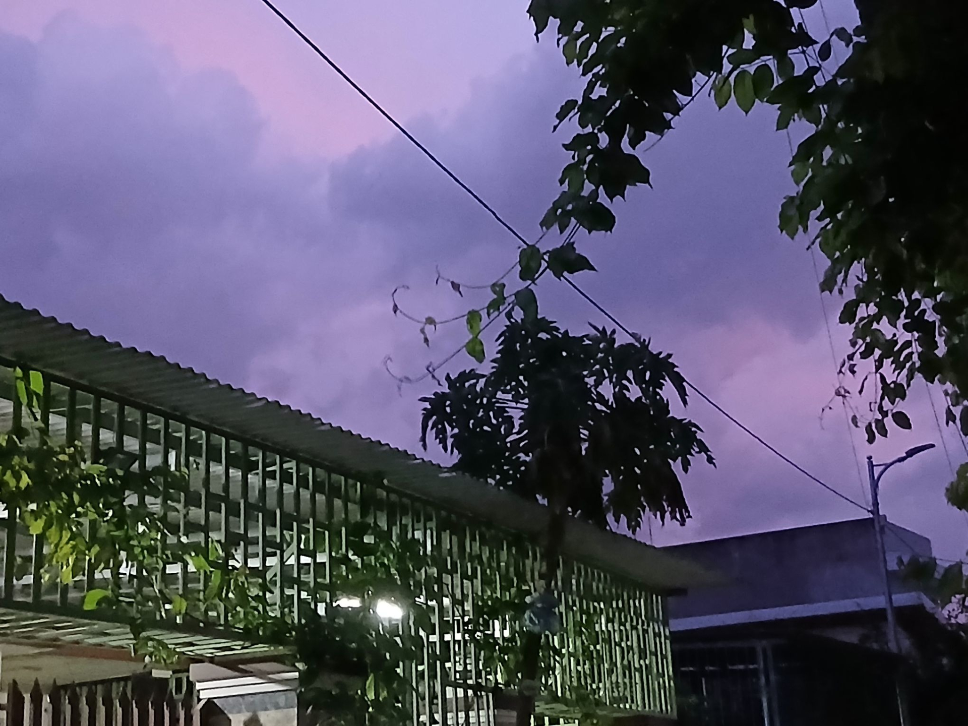 Bầu trời tím lịm tìm sim rực rỡ ở Khánh Hòa khiến mạng xã hội dậy sóng - Ảnh 8.