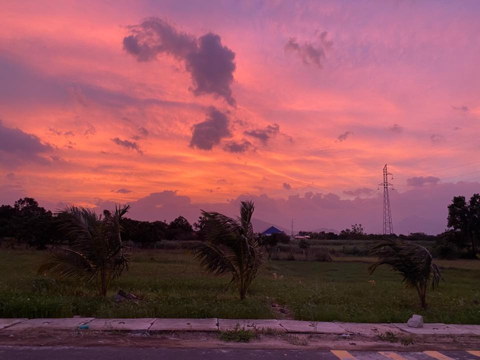 Bầu trời tím lịm tìm sim rực rỡ ở Khánh Hòa khiến mạng xã hội dậy sóng - Ảnh 4.