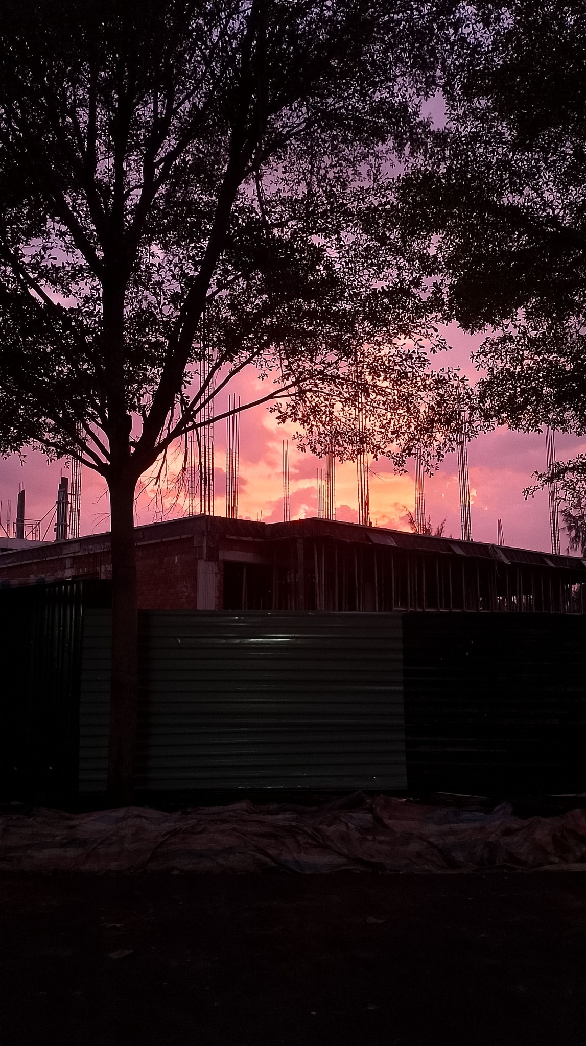 Bầu trời tím lịm tìm sim rực rỡ ở Khánh Hòa khiến mạng xã hội dậy sóng - Ảnh 7.