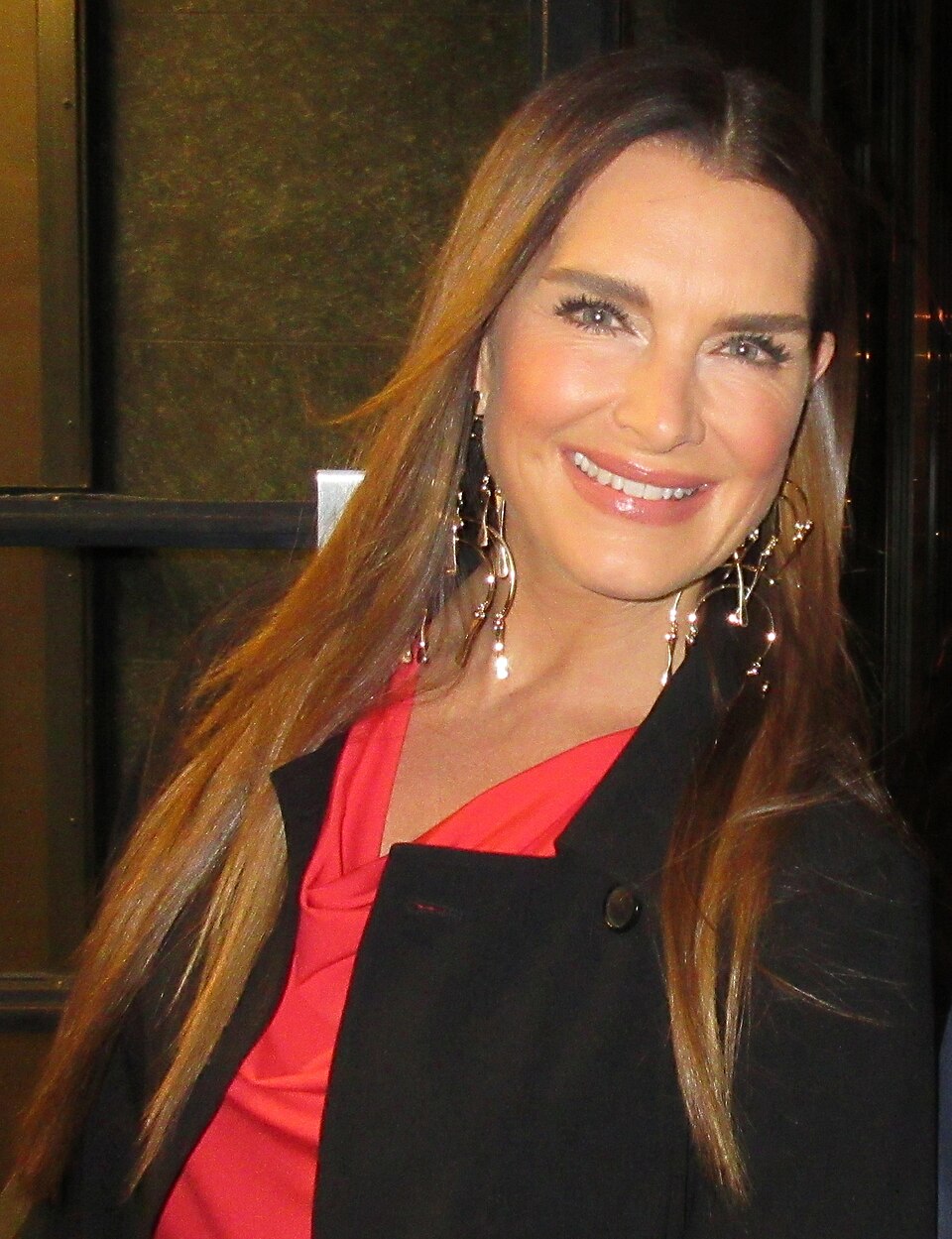 960px-brookeshields2820182928cropped29-17641367563611367000681-1764141712900-17641417131402051879746.jpg