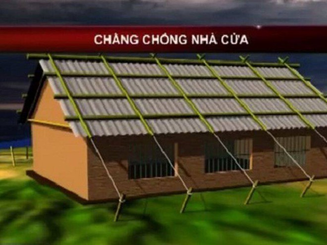 Người dân từ Đà Nẵng đến Lâm Đồng cần lưu ý trước bão số 15 - Ảnh 1.