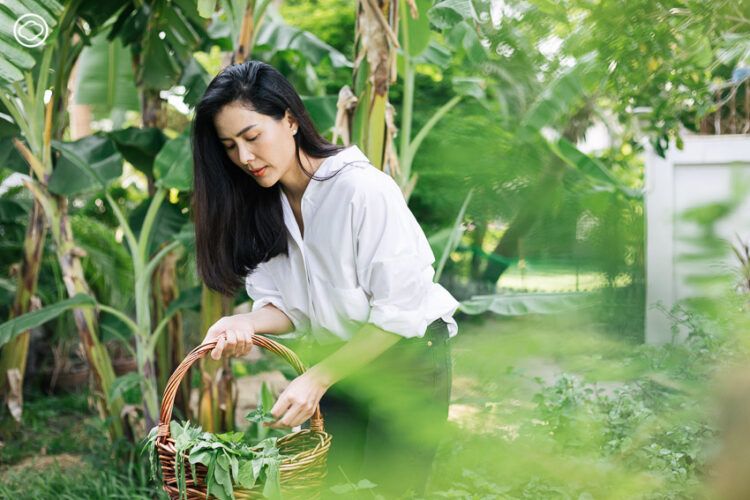 Sau tuổi 50 nên quản lý tiền thế nào để về hưu sống nhàn, không lo thiếu trước hụt sau - Ảnh 3.