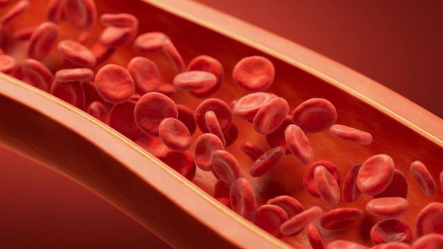 Người có 'máu sạch' thường có 5 đặc điểm - nếu bạn đạt được 4, xin chúc mừng! - Ảnh 1.