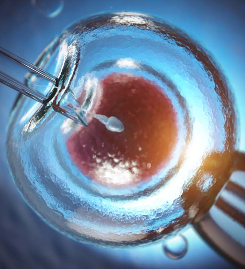 Sau chuyển phôi có chơi pickleball được không?- Ảnh 1.