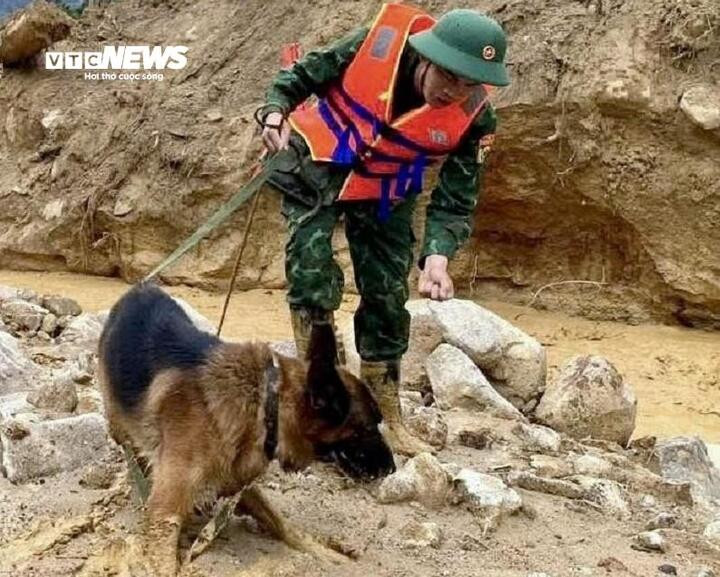 Hơn 100 người tìm kiếm nạn nhân mất tích trong vụ sạt lở núi Đà Nẵng - Ảnh 2.