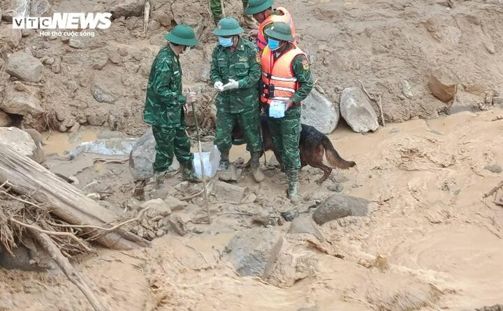 Hơn 100 người tìm kiếm nạn nhân mất tích trong vụ sạt lở núi Đà Nẵng - Ảnh 5.