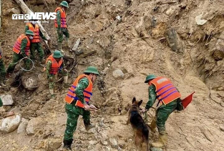Hơn 100 người tìm kiếm nạn nhân mất tích trong vụ sạt lở núi Đà Nẵng - Ảnh 7.