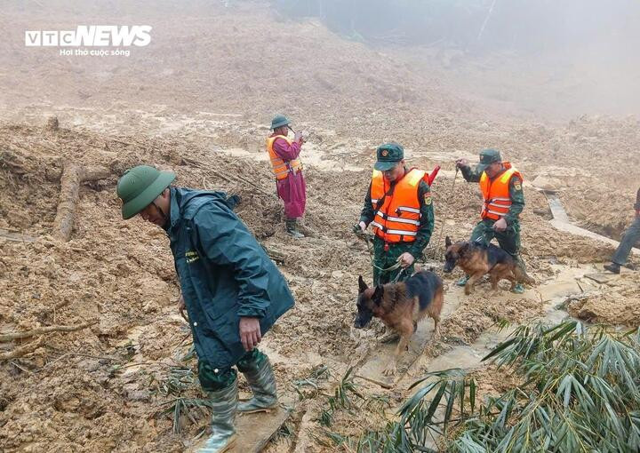 Hơn 100 người tìm kiếm nạn nhân mất tích trong vụ sạt lở núi Đà Nẵng - Ảnh 6.