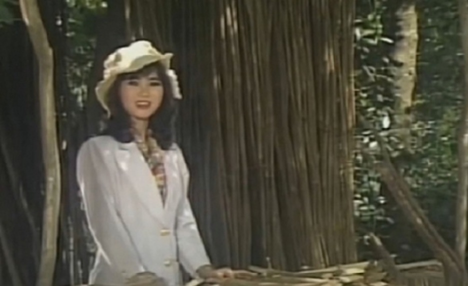 Nữ ca sĩ đi diễn miền Tây bị sập cả hàng rào- Ảnh 2.