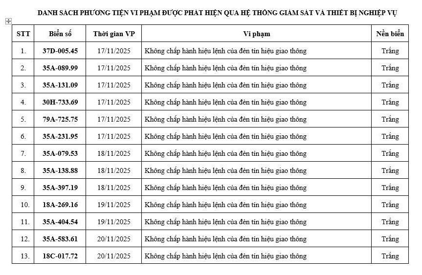 Chủ xe vi phạm giao thông tại Ninh Bình , Hưng Yên nhanh chóng nộp phạt theo Nghị định 168 - Ảnh 1.