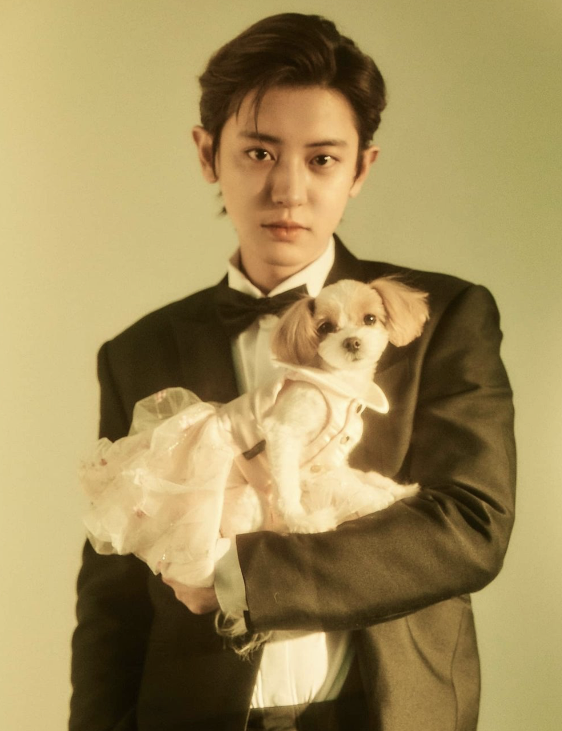 chanyeol-17226738984161938049688-141530-1764228816083-17642288164862057147100.png