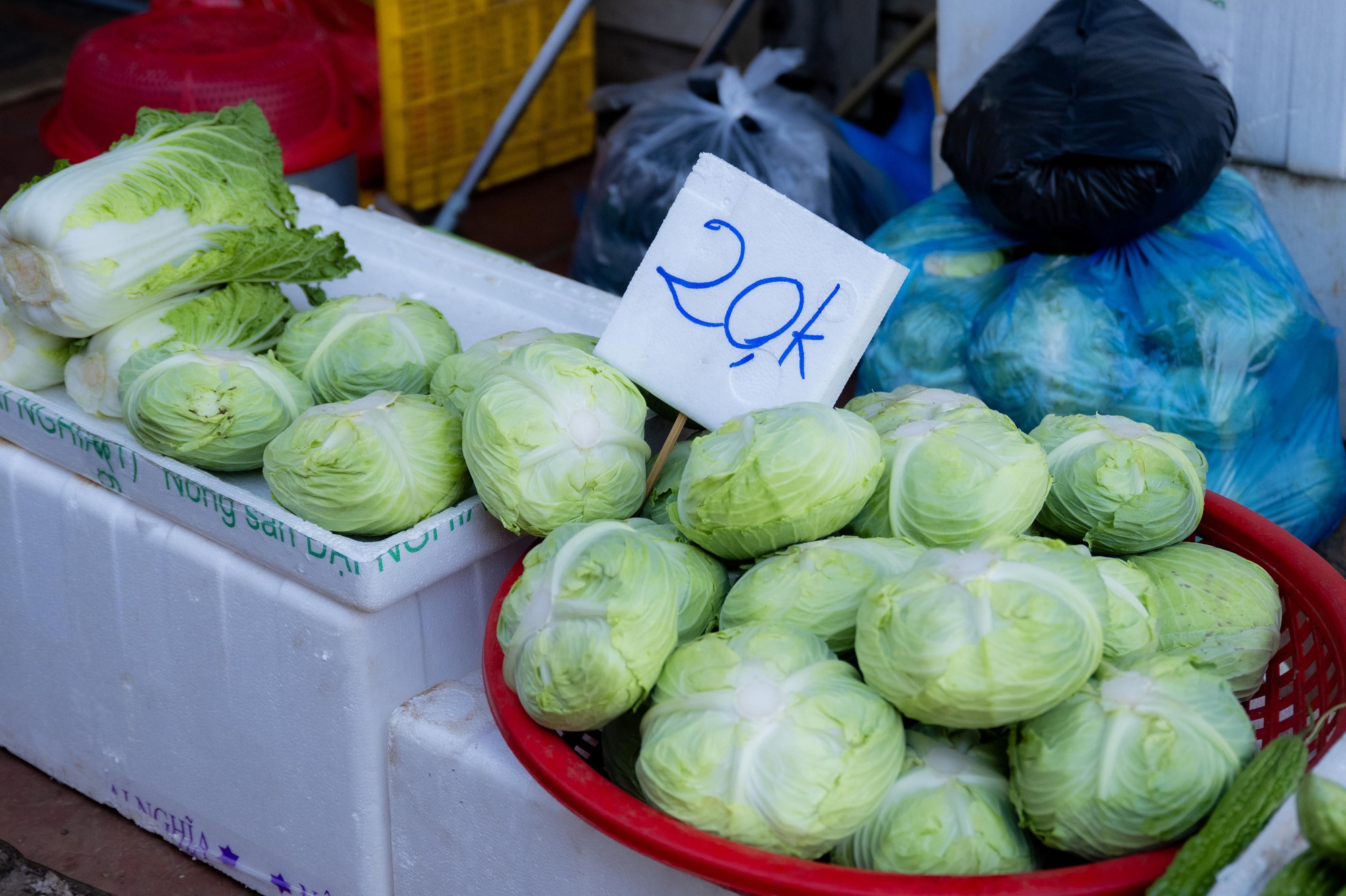 Sự thật giá rau 