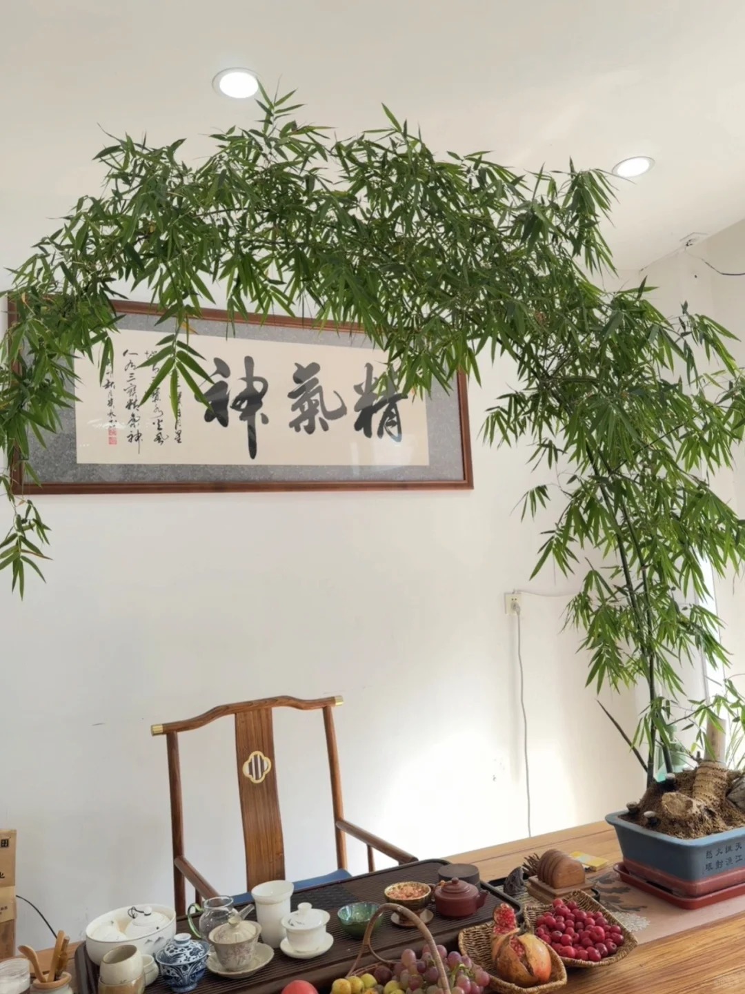 Tre ảnh hưởng gì tới nhà ở? cách trồng tre đúng chỗ cho không gian sống thêm may mắn - Ảnh 11.