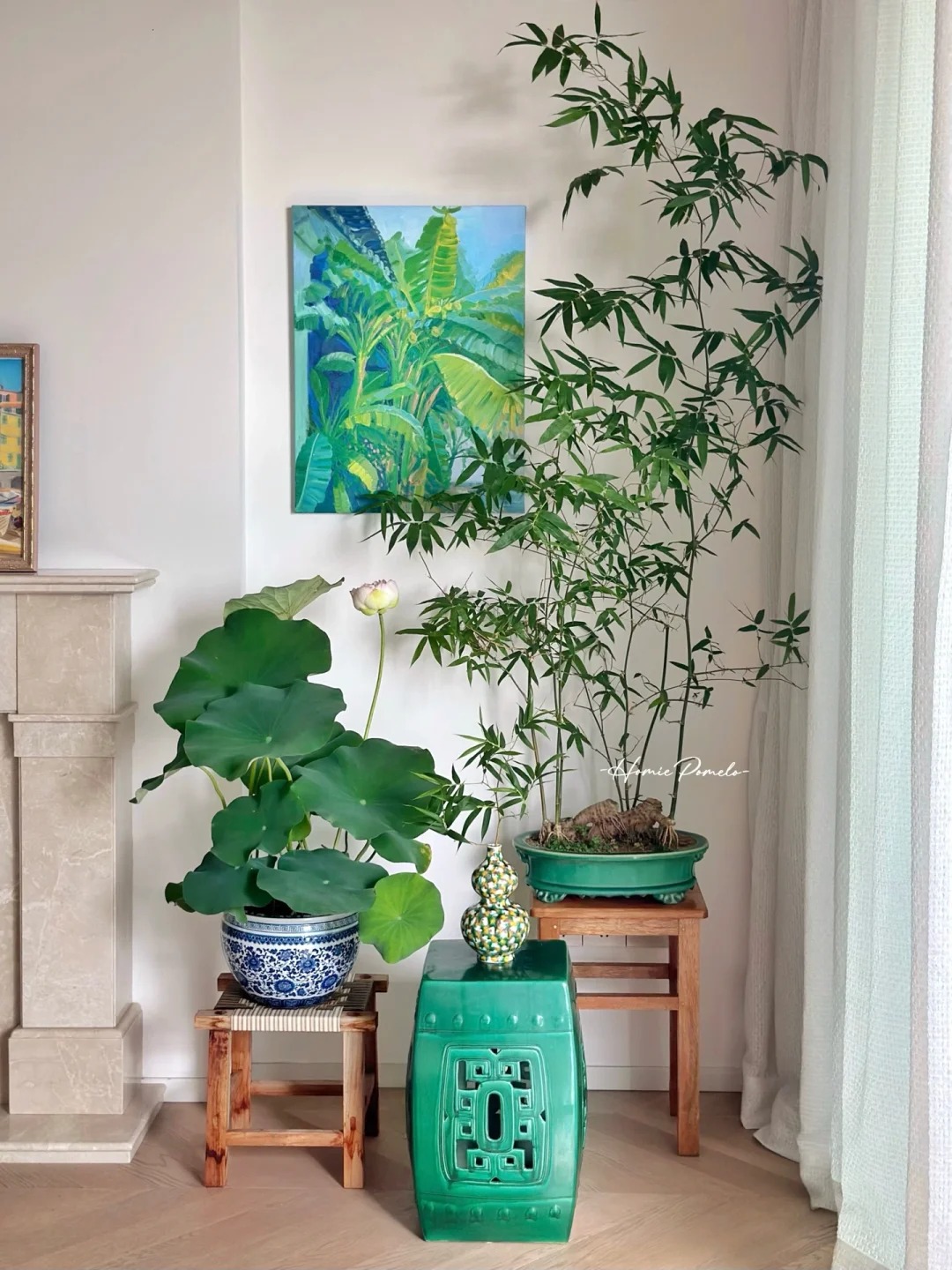 Tre ảnh hưởng gì tới nhà ở? cách trồng tre đúng chỗ cho không gian sống thêm may mắn - Ảnh 9.